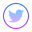 twitter icon by Icons8